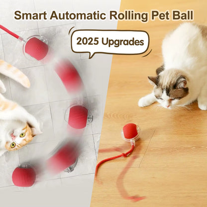 Engaging Automatic Rolling Cat Ball Toy with Faux Tail - Rechargeable Interactive Pet Training Tool