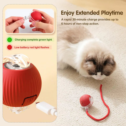 Engaging Automatic Rolling Cat Ball Toy with Faux Tail - Rechargeable Interactive Pet Training Tool