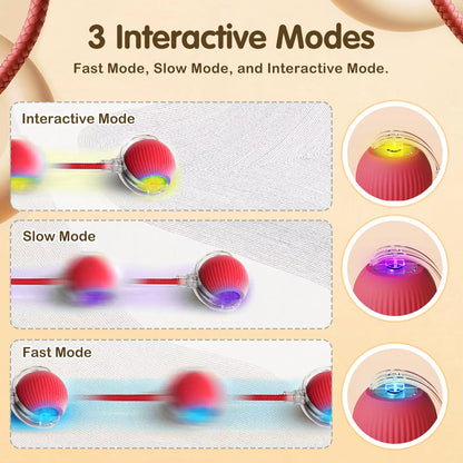Engaging Automatic Rolling Cat Ball Toy with Faux Tail - Rechargeable Interactive Pet Training Tool