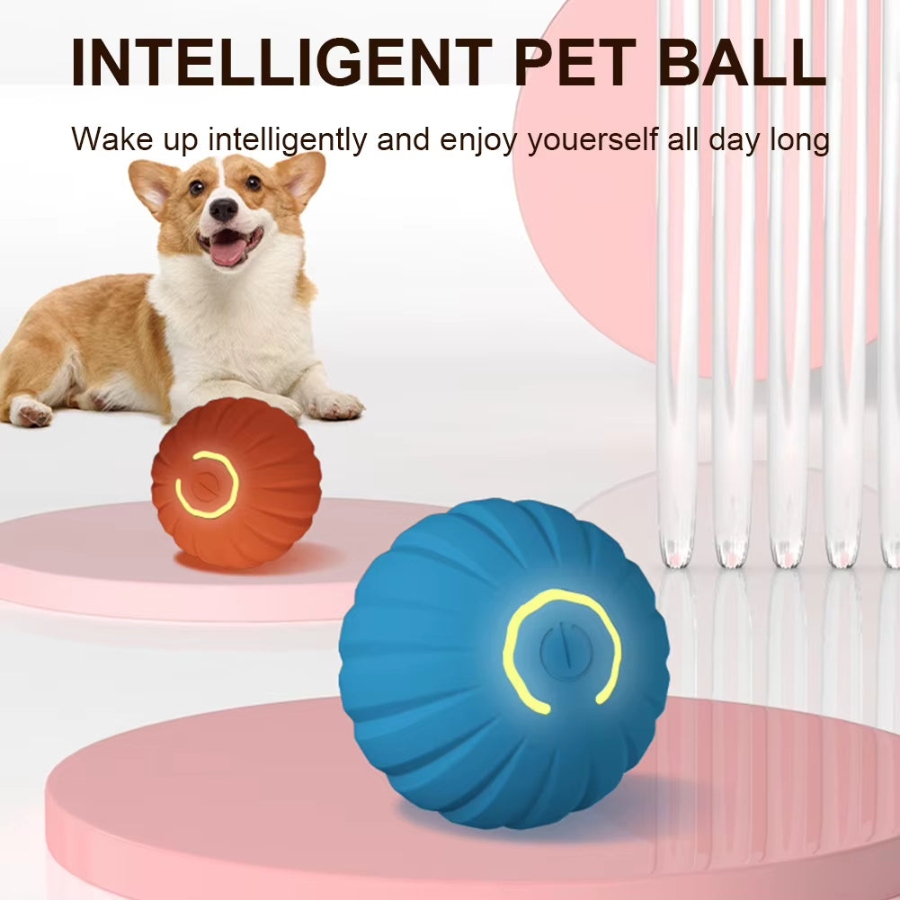 Interactive USB Rechargeable Automatic Rolling Cat Ball - The Ultimate Playtime Companion for Kittens and Dogs