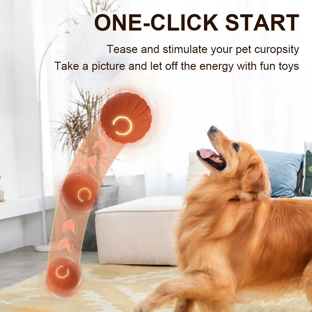 Interactive USB Rechargeable Automatic Rolling Cat Ball - The Ultimate Playtime Companion for Kittens and Dogs