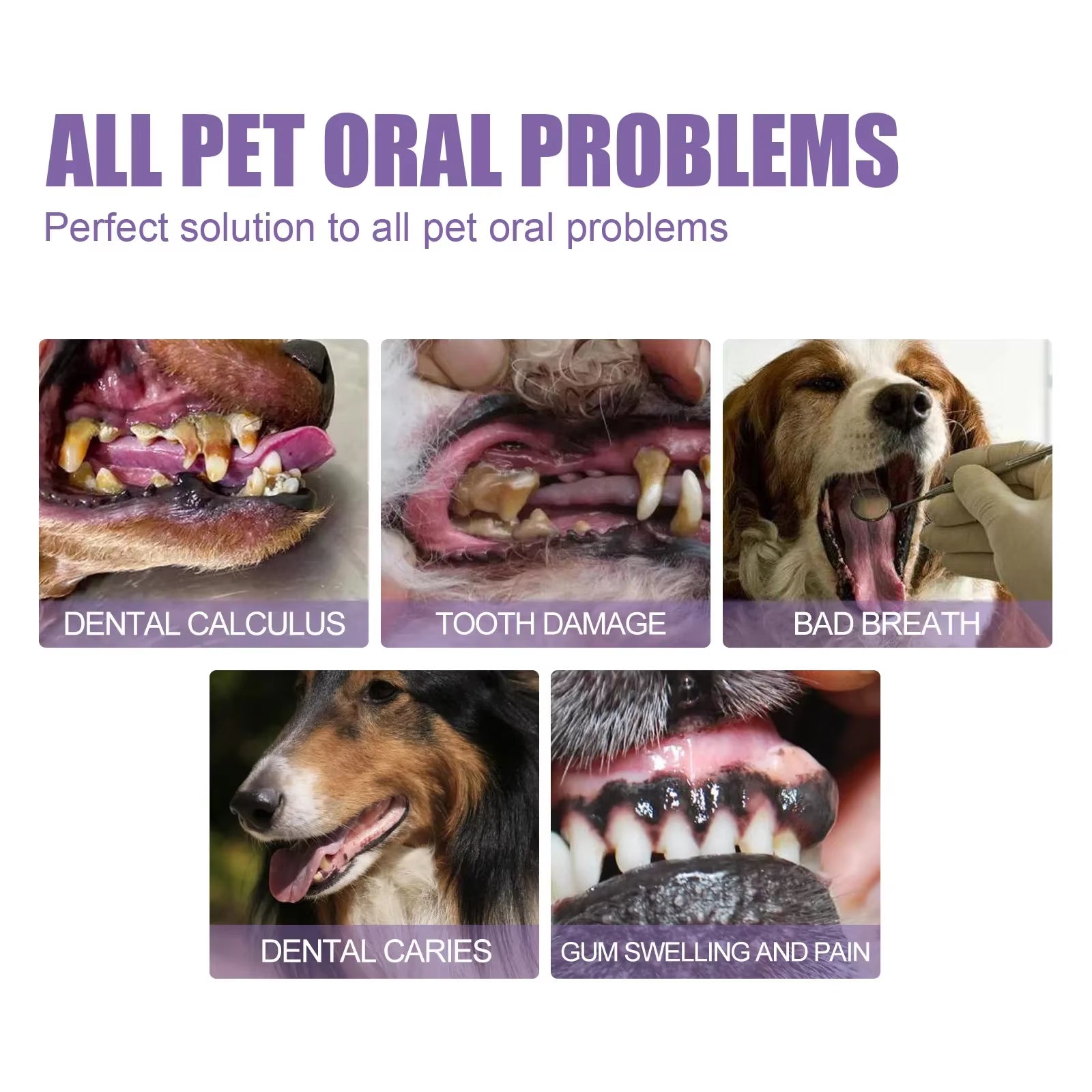 Revolutionary Pet Teeth Cleaning Pen - Natural Oral Repair Gel for Dogs and Cats - Effortless Dental Care Tool for Pet Owners